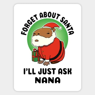 Forget about Santa I'll just ask Nana Capybara Santa Magnet